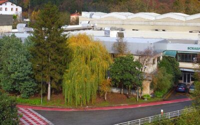 Schaeffler acelera su apuesta por el hidrógeno verde con nuevas tecnologías que lo hacen más accesible y eficiente